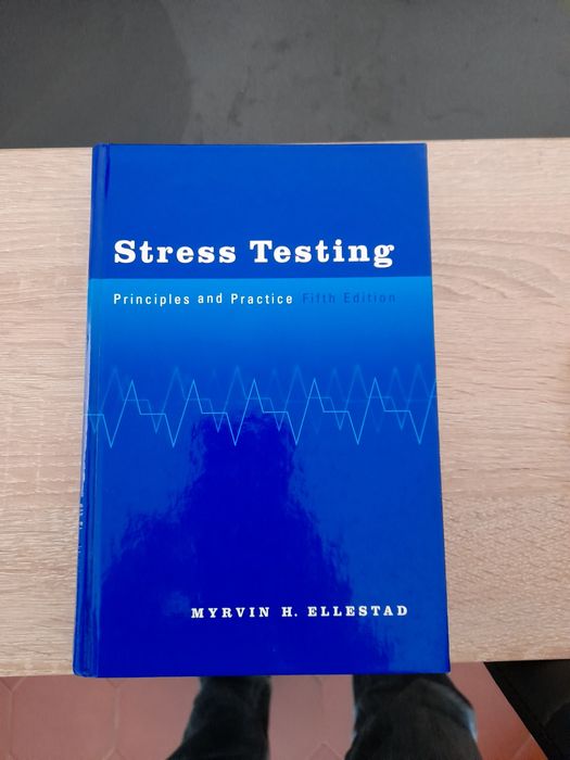 Stress Testing - Principles and Practice