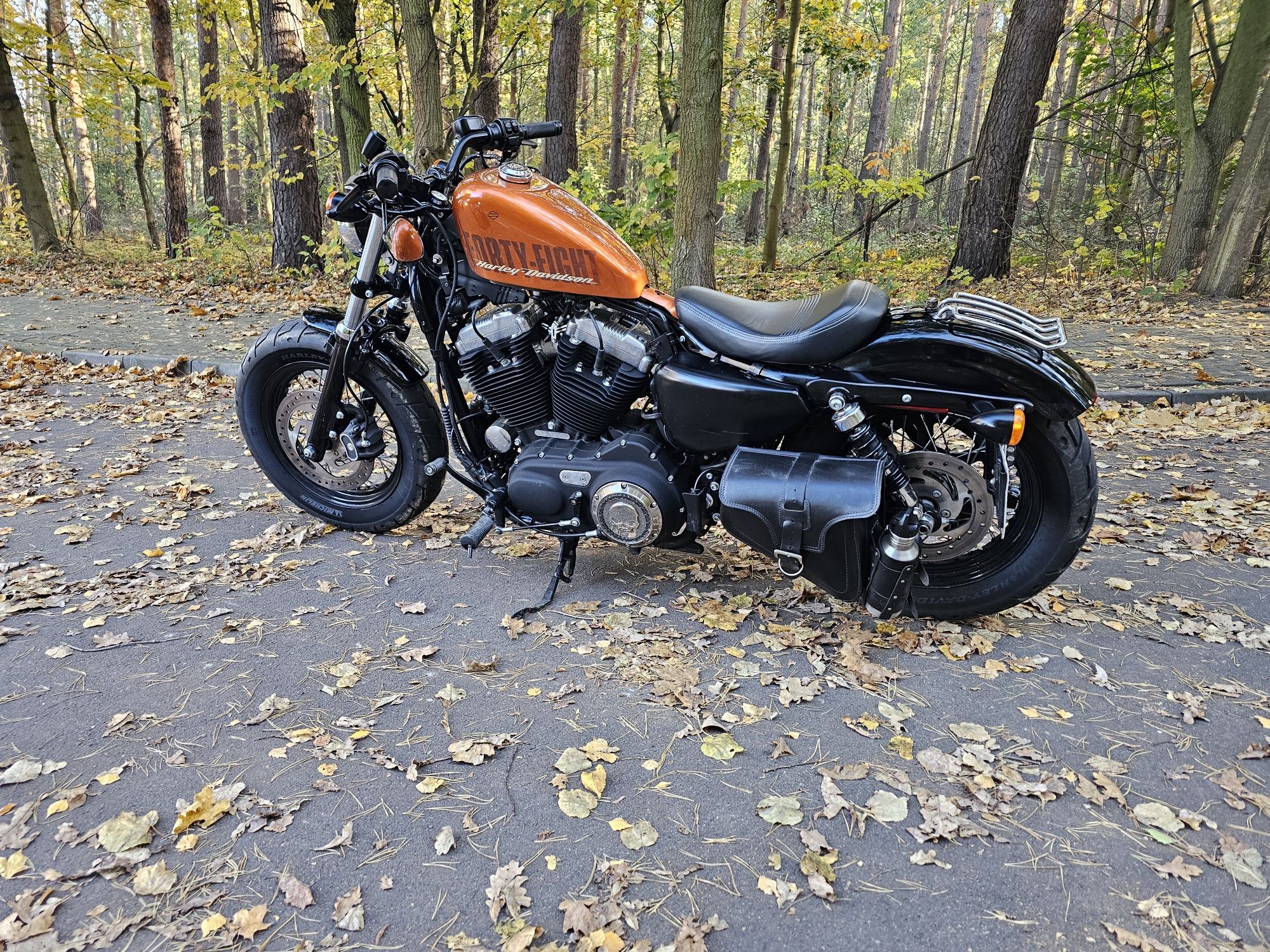 Harley Davidson Sporster Peanut 48