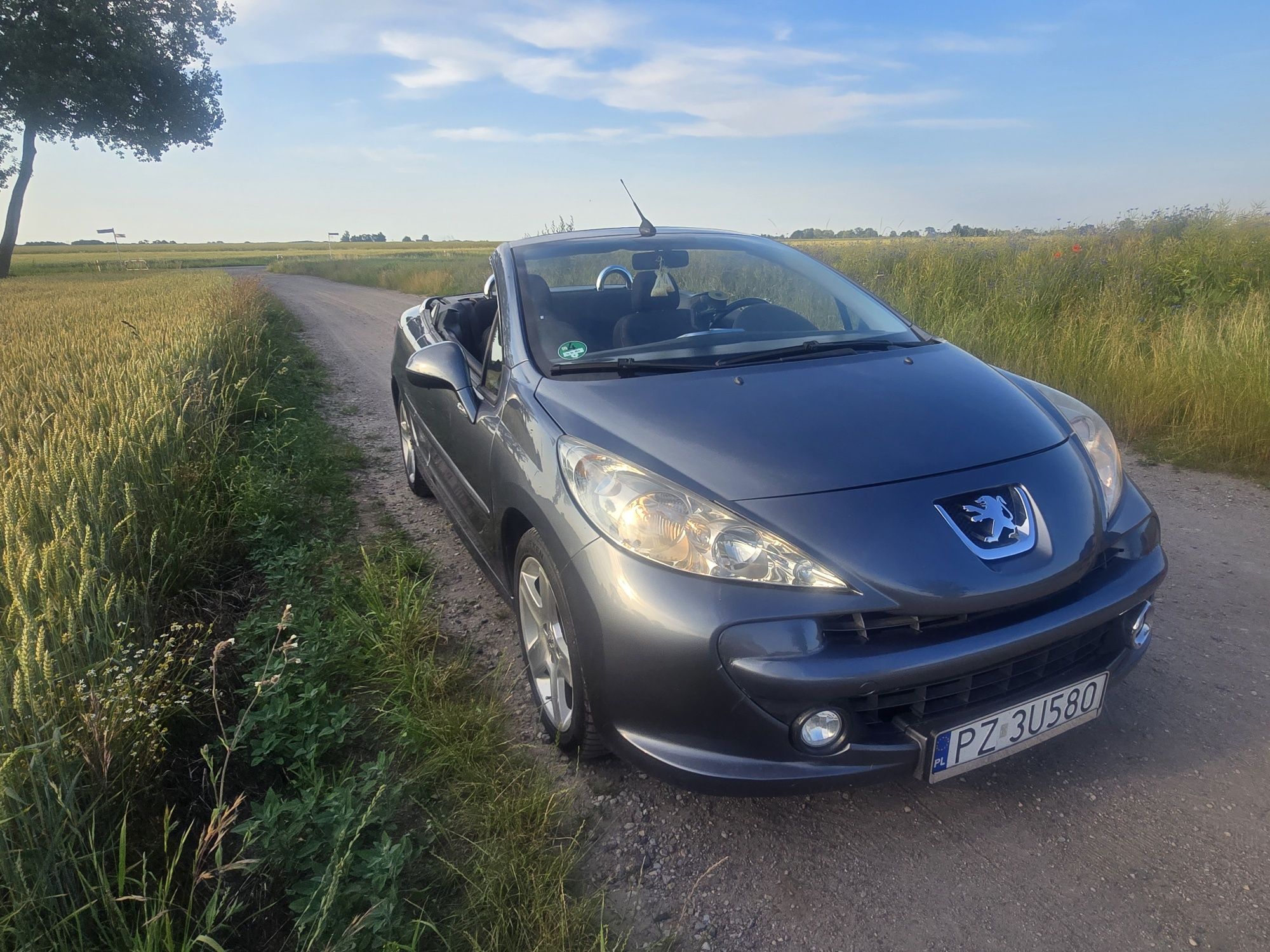 Peugeot 207 CC Cabrio