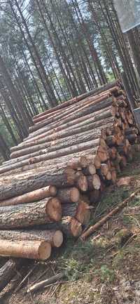 Drewno tartaczne Kłoda długość 5m