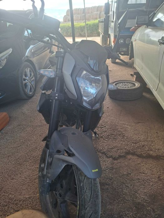 MOTA benelli DE 2024