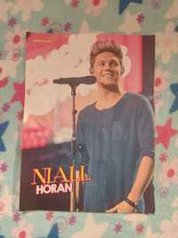 Plakat Niall Horan