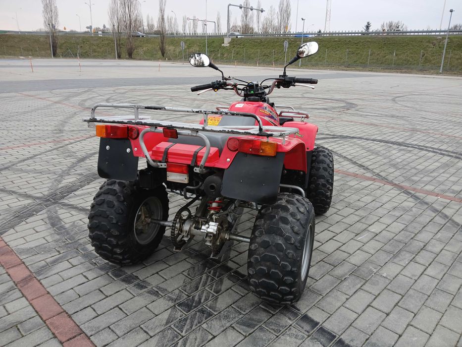 Kawasaki KEF-300 Zarejestrowany w PL YFM Inny LTZ TRX Access Maxxer