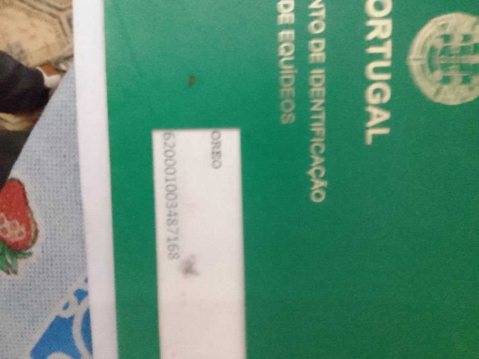 Dois cavalos para venda ou troca