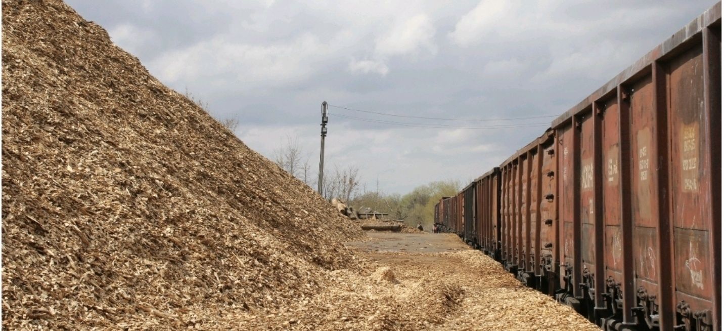 Розвантажувально-навантажувальні послуги залізничного транспорту