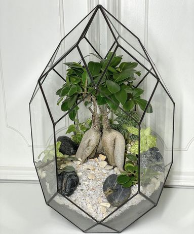 Бонсай,Флорариум,стабилизированный мох,цветы в стекле,мосариум,подарок