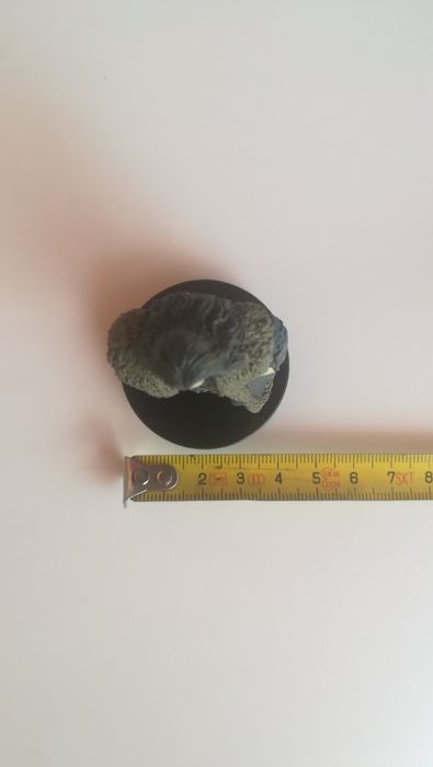 Raro! Thorin Oakenshield - The Lord of the Rings