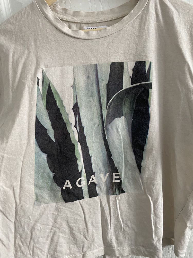 agawa tshirt croop L sukulent y2k alternative roślina