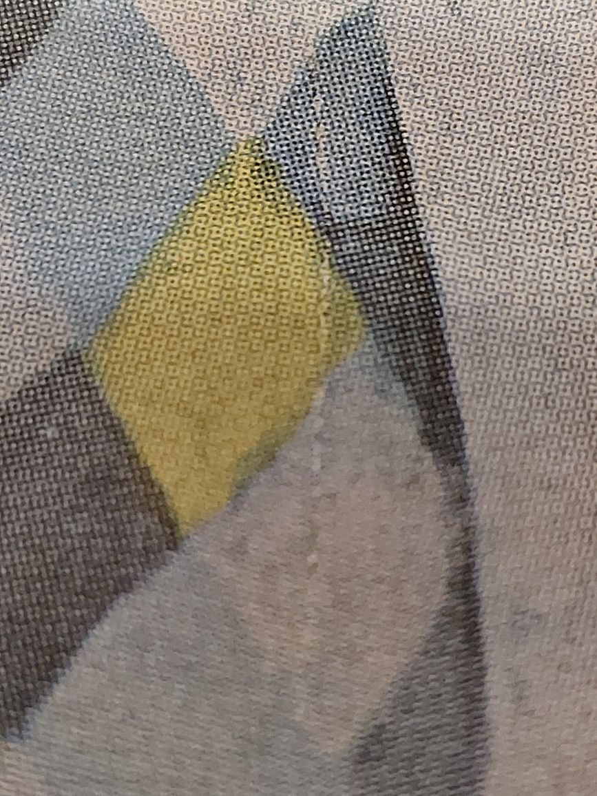 Pablo Picasso  -Żongler z psem z 1905 - Reproduction