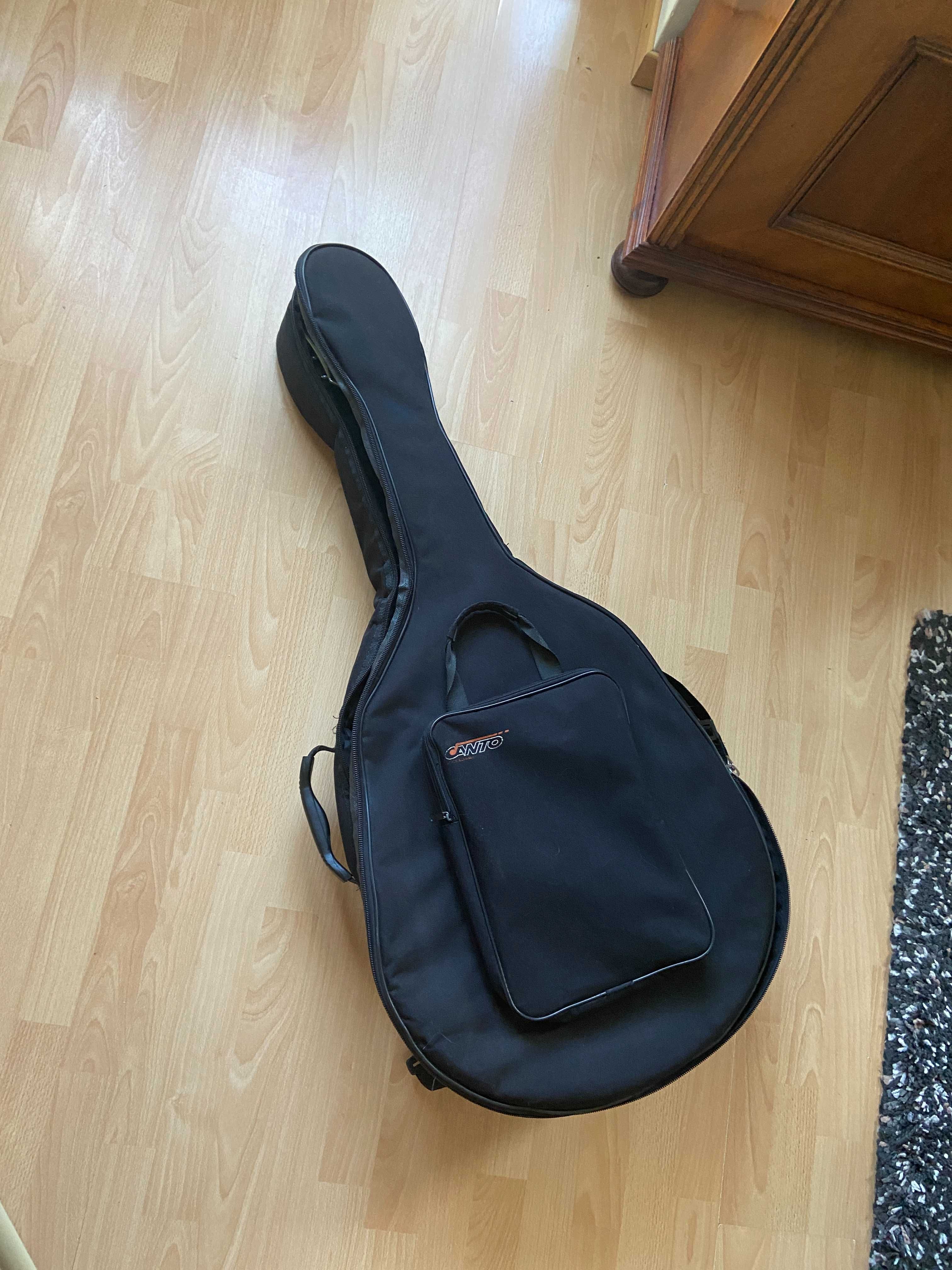Gitara Jazzowa Cort Larry Coryell Lcs 2 Custom + pokrowiec