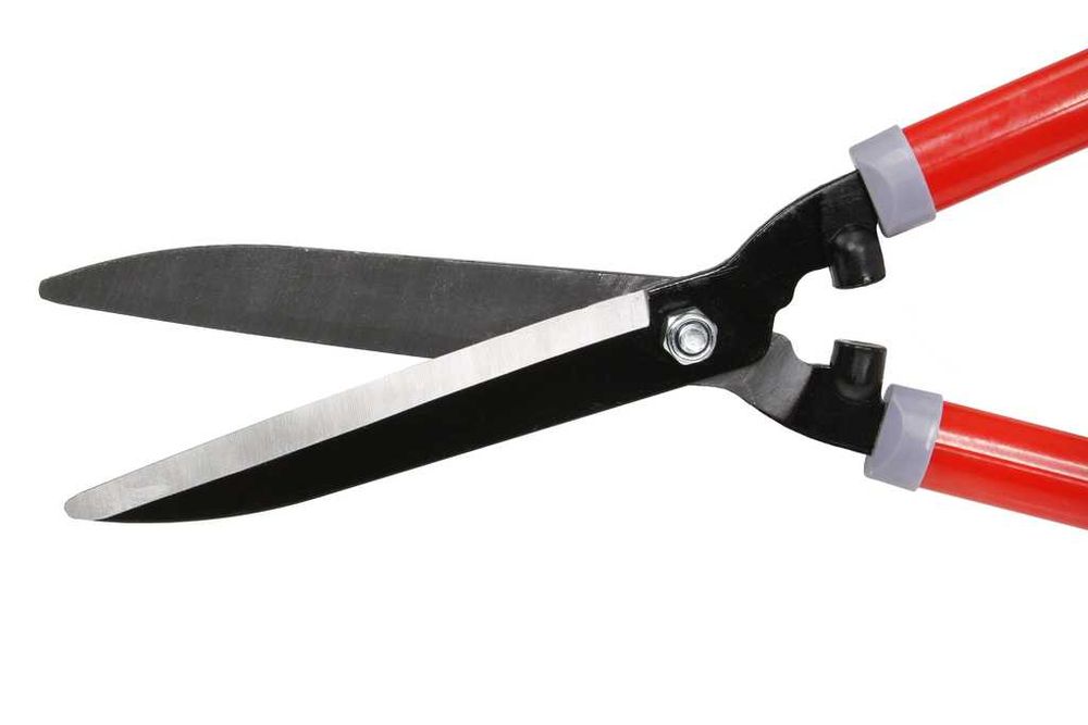 Zestaw sekatorów i nożyc do ogrodu