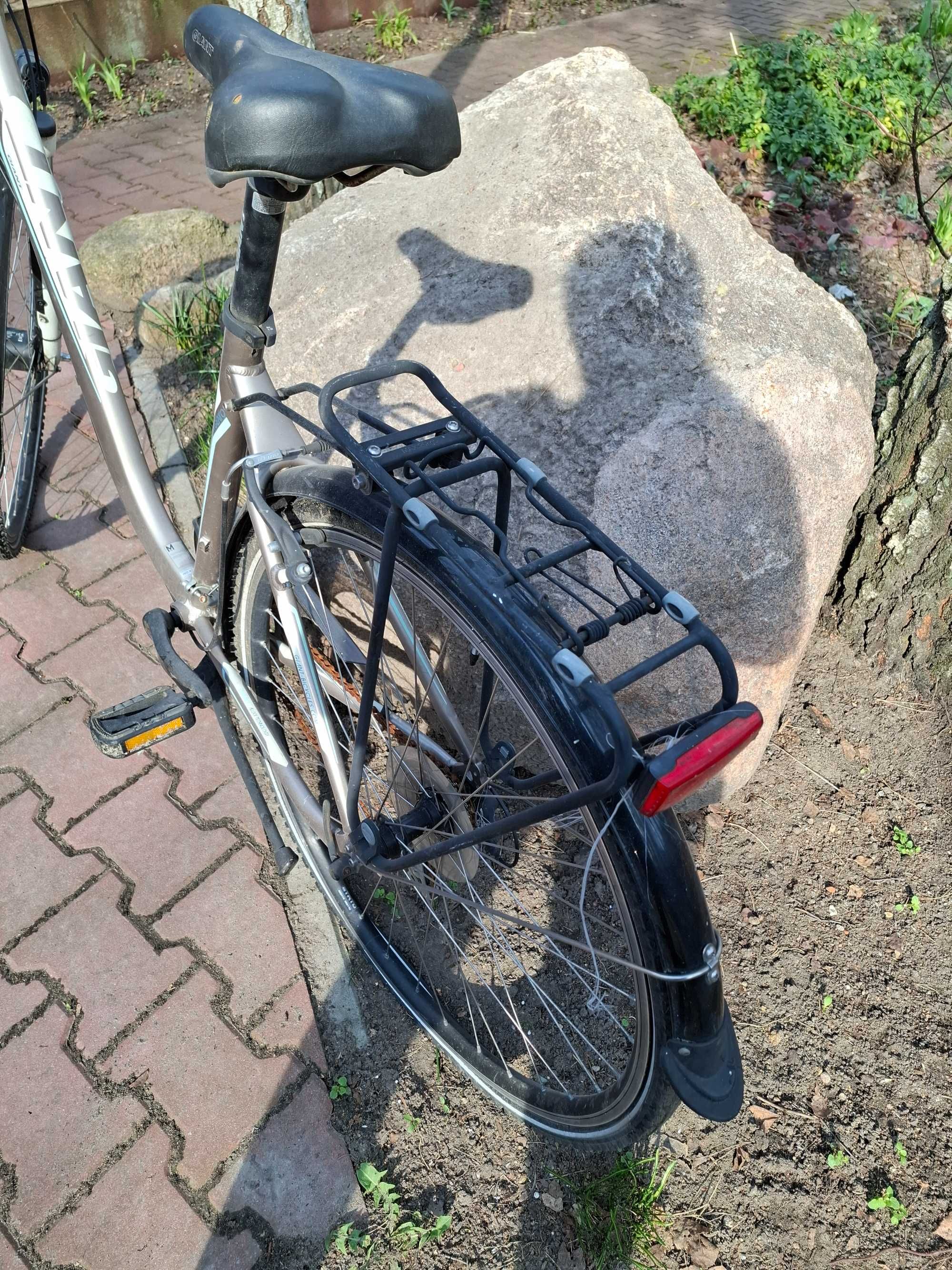 Rower damka Giant Argento