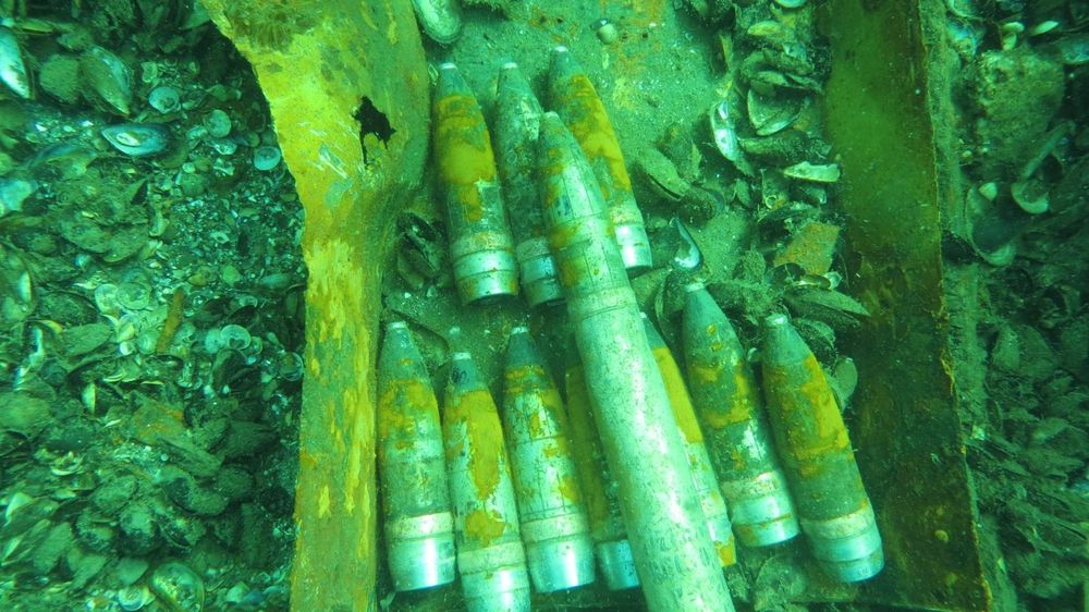 Водолаз, аквалангіст, дайвер, пірнальник,сапер...24/7