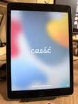 iPad Air 2 generacji 16 GB WIFI + LTE