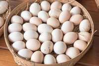 Яйця домашні 60 гривень/десяток