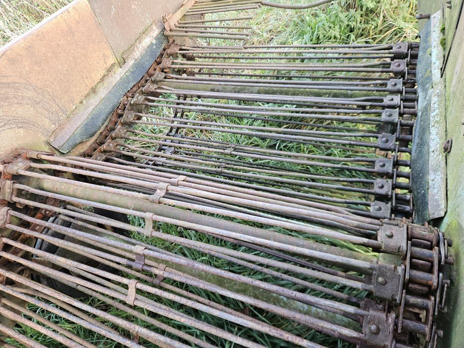 Kopaczka do ziemniaków elewatorwa 2 rzedowa nie 1 rzedowa akpil bulwa