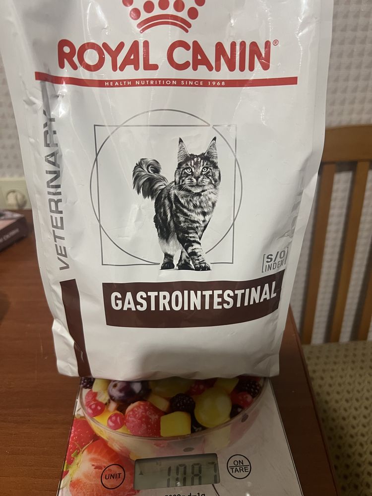 Royal Canin (Роял Канін) Gastrointestinal Cat 1 кг