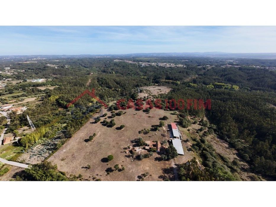 Terreno 161.000 m² com 2 ha urbanizáveis - Souto da Carpalhosa