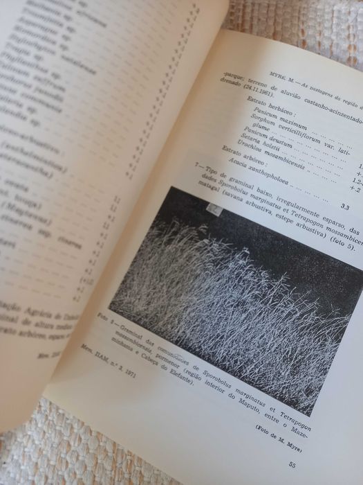 livro antigo As Pastagens da região do Maputo Moçambique Mário Myre