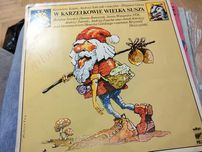 W Karzełkowie Wielka Susza vinyl winyl