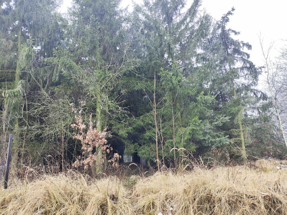 Na sprzedaż działka 1025 m Stara Obra , gm Kożmin Wlkp.