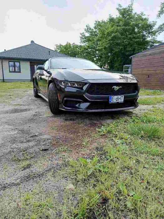 Ford Mustang Ford Mustang EcoBoost 2024