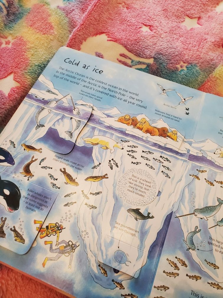 See inside the sea Usborne