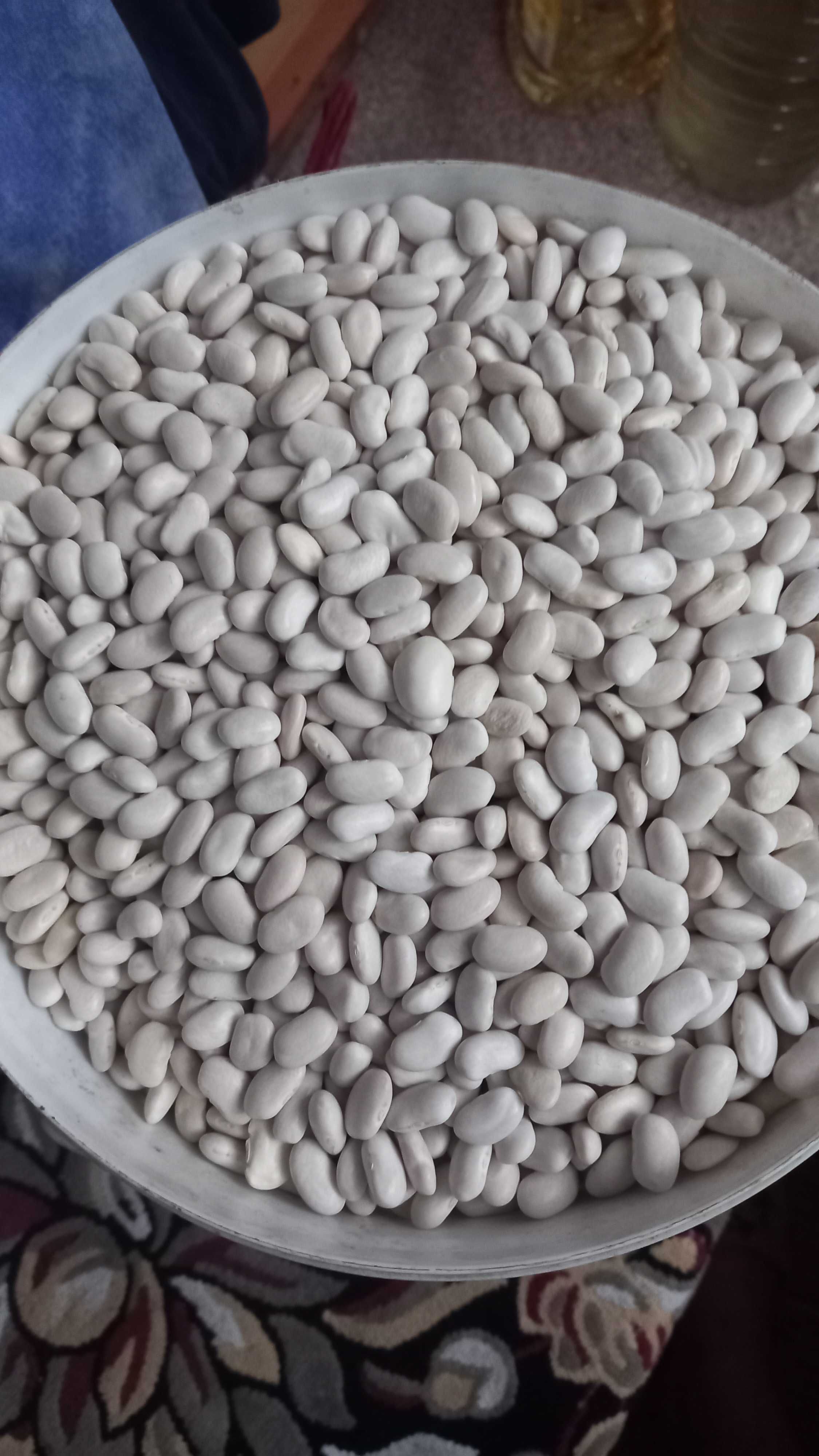 Продам квасолю домашню