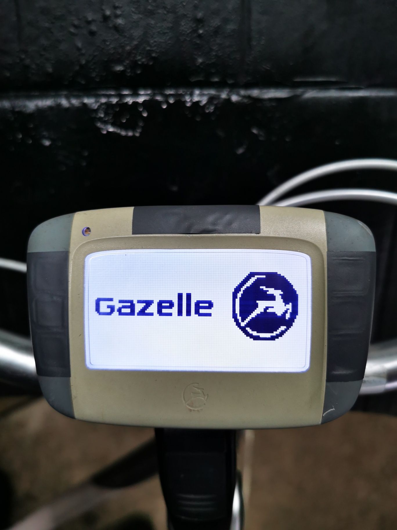 Display Gazelle 36V