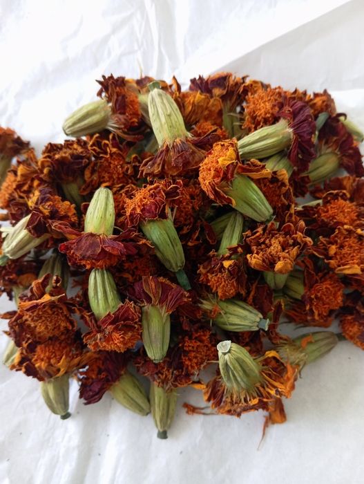 Сухі квіти чорнобривців і календули(нагідки)