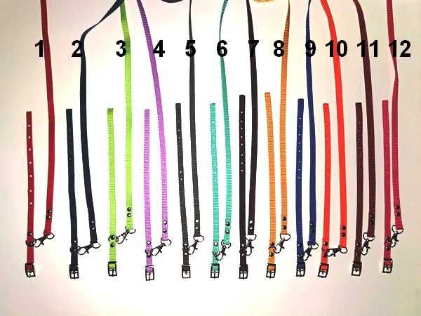 york obroża i smycz: york maltańczyk szczeniak, komplet 10 szt. kolory