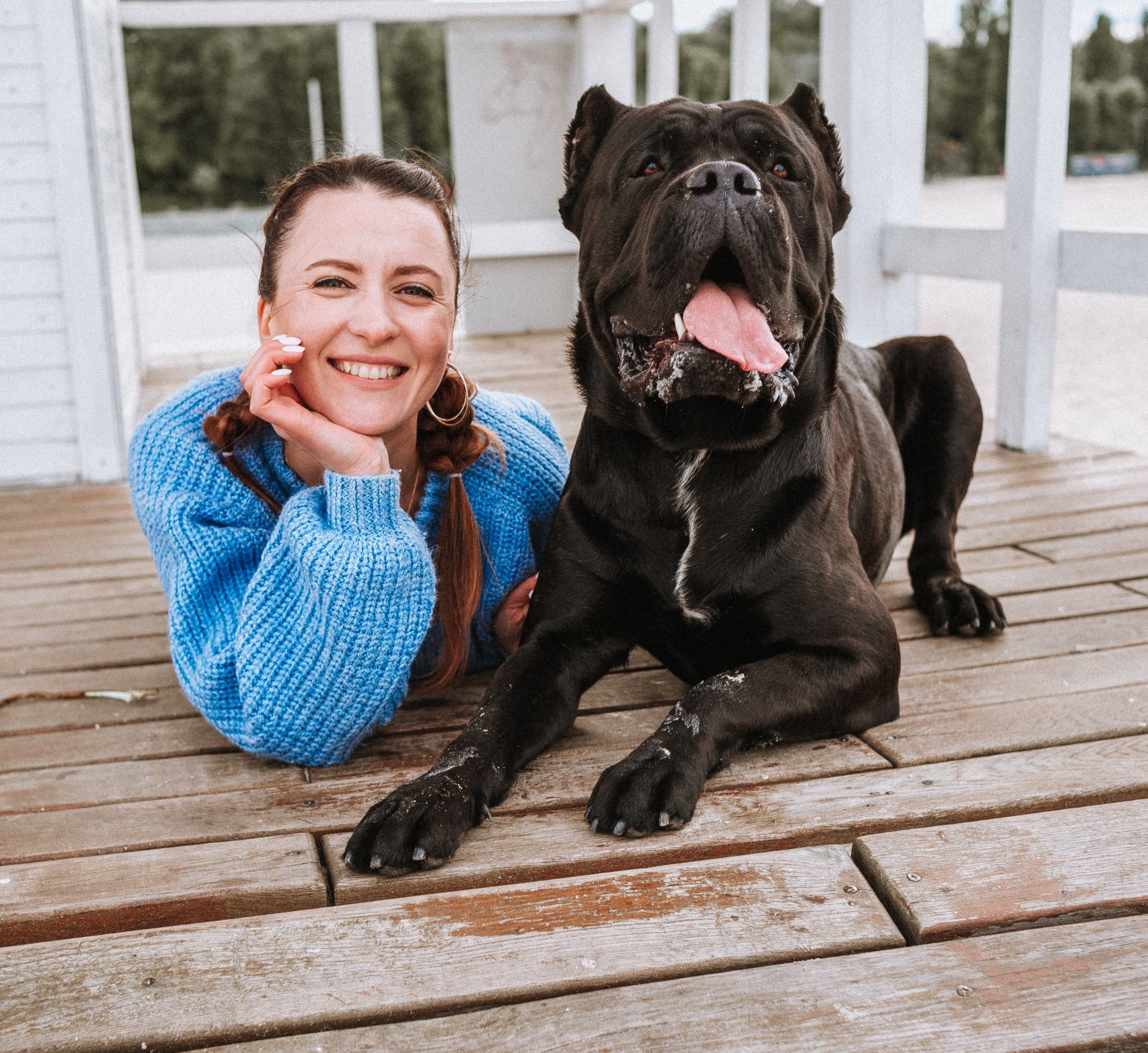 Кобель Cane corso для вязки