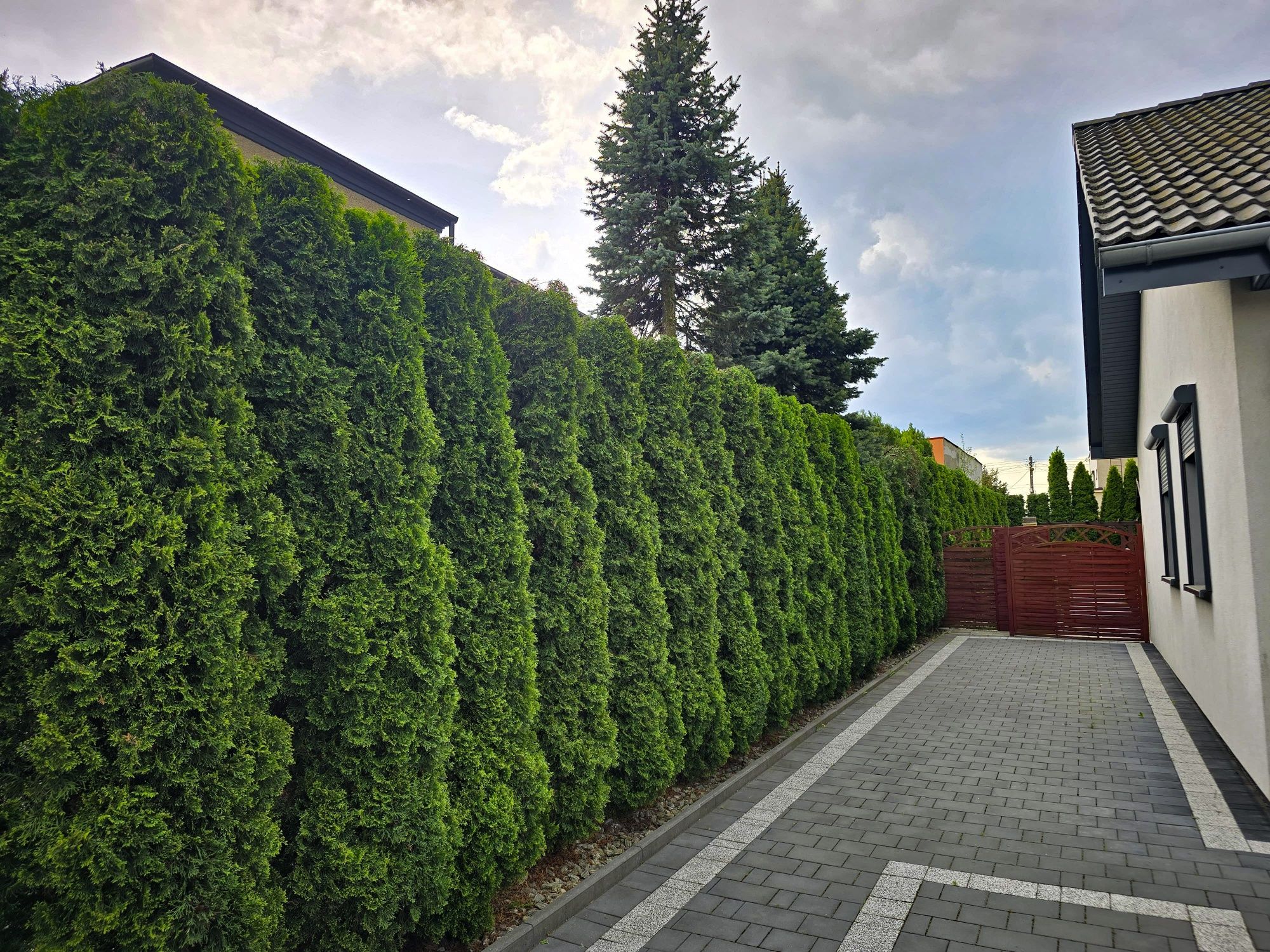 Ogrodnik, prace ogrodnicze, przycinanie drzew krzewów, koszenie trawy