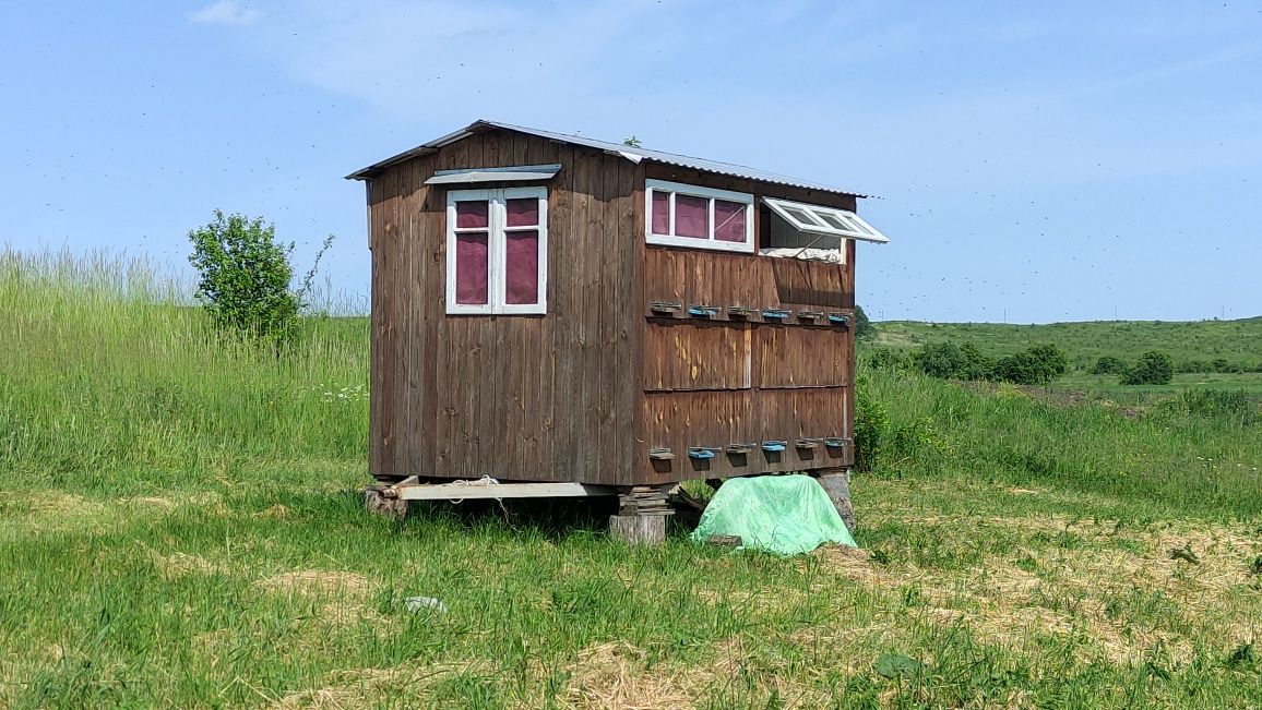 Прицеп-павільйон для бджіл