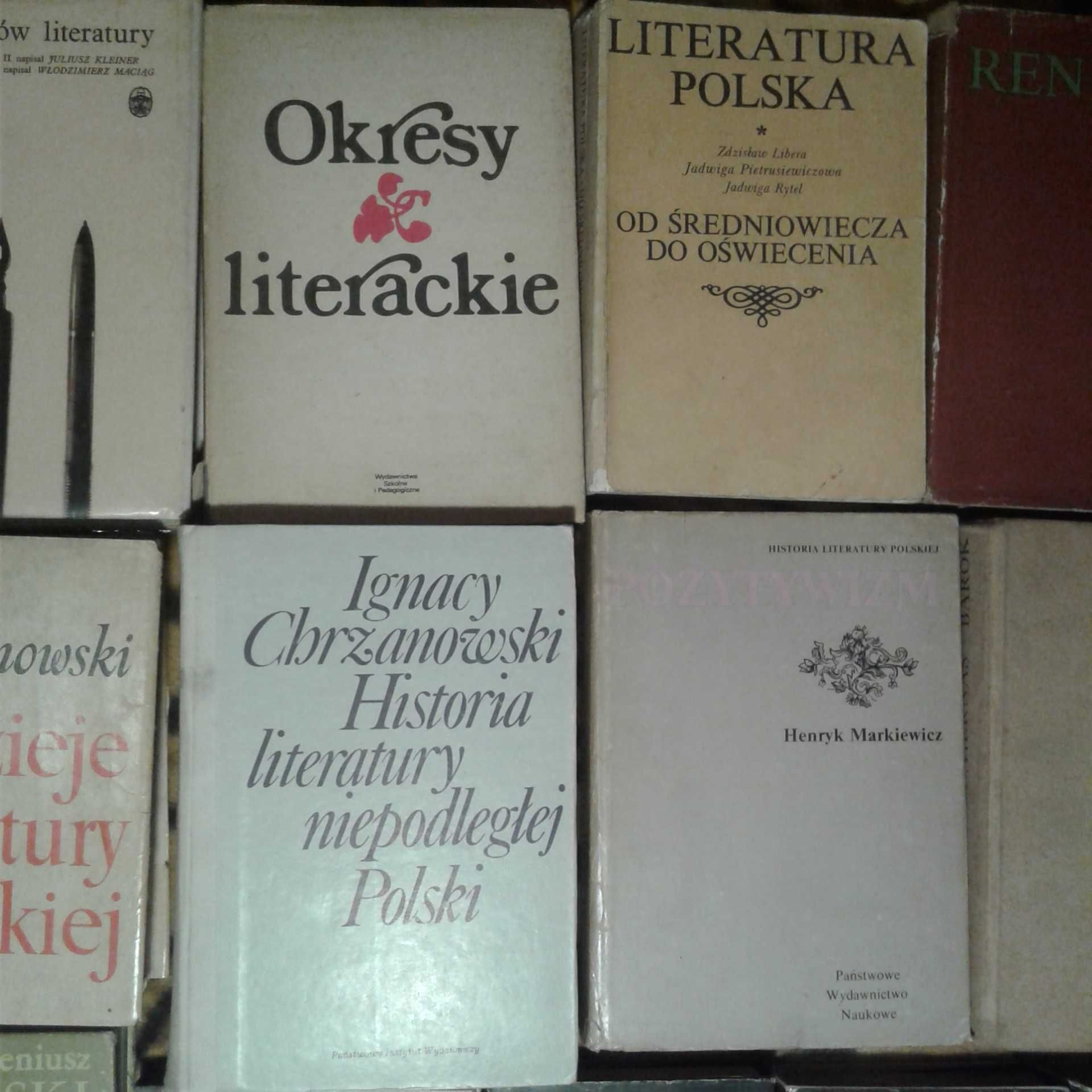 Polonistyka literaturoznawstwo zestaw 22 książek