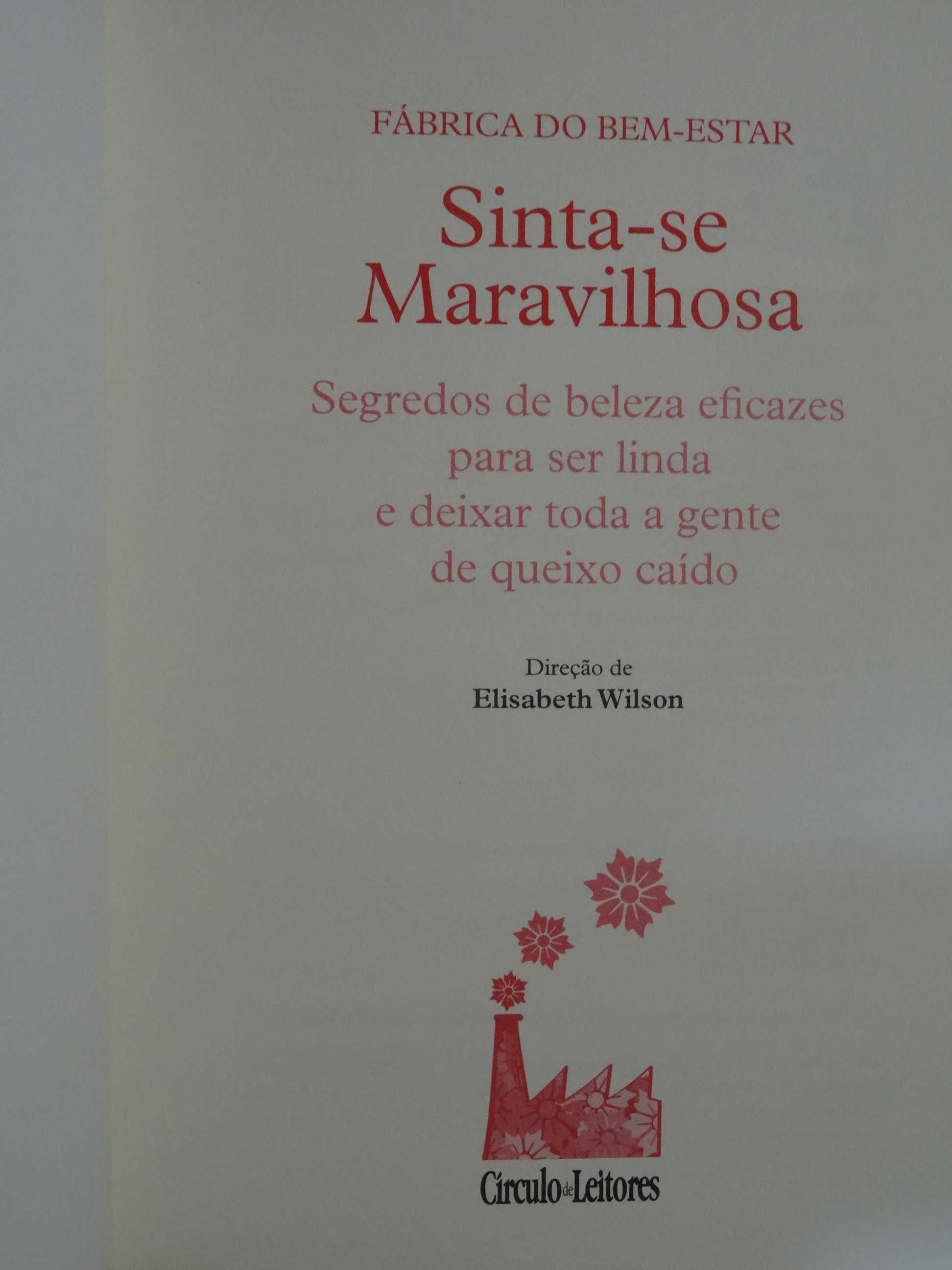 Sinta-se Maravilhosa de Elisabeth Wilson