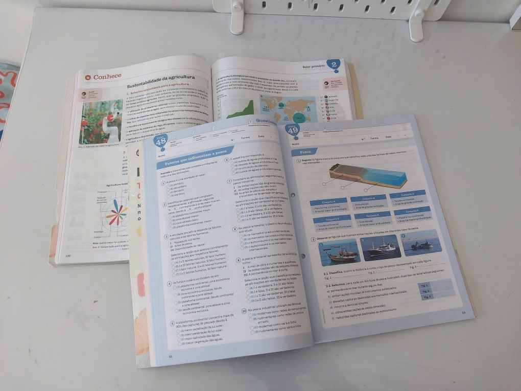 Geografia 8° ano