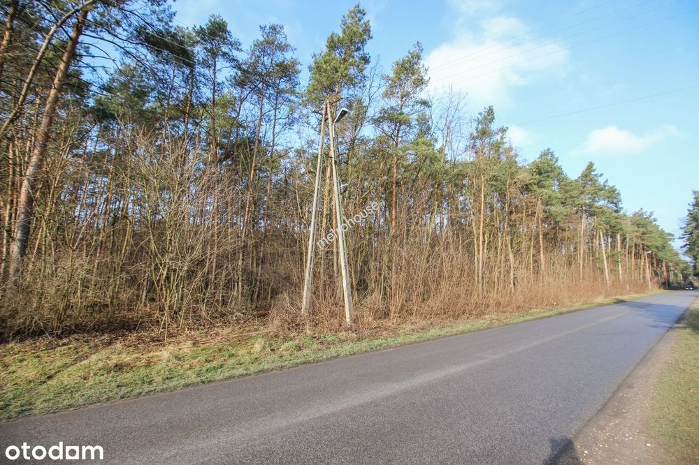 Działka budowlana 1690mkw dojazd asfaltowy.