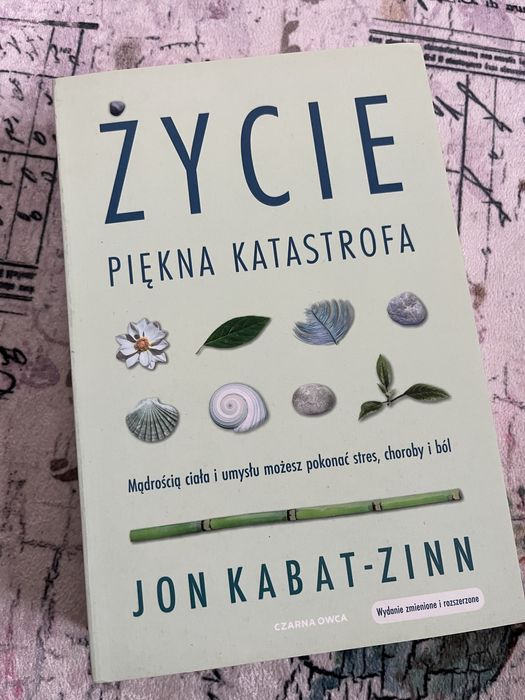 Życie piękna katastrofa Jon Kabat-Zinn
