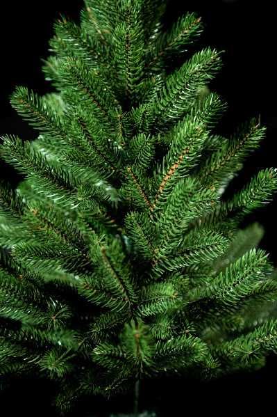 Ялинка лита Prestige 1.8