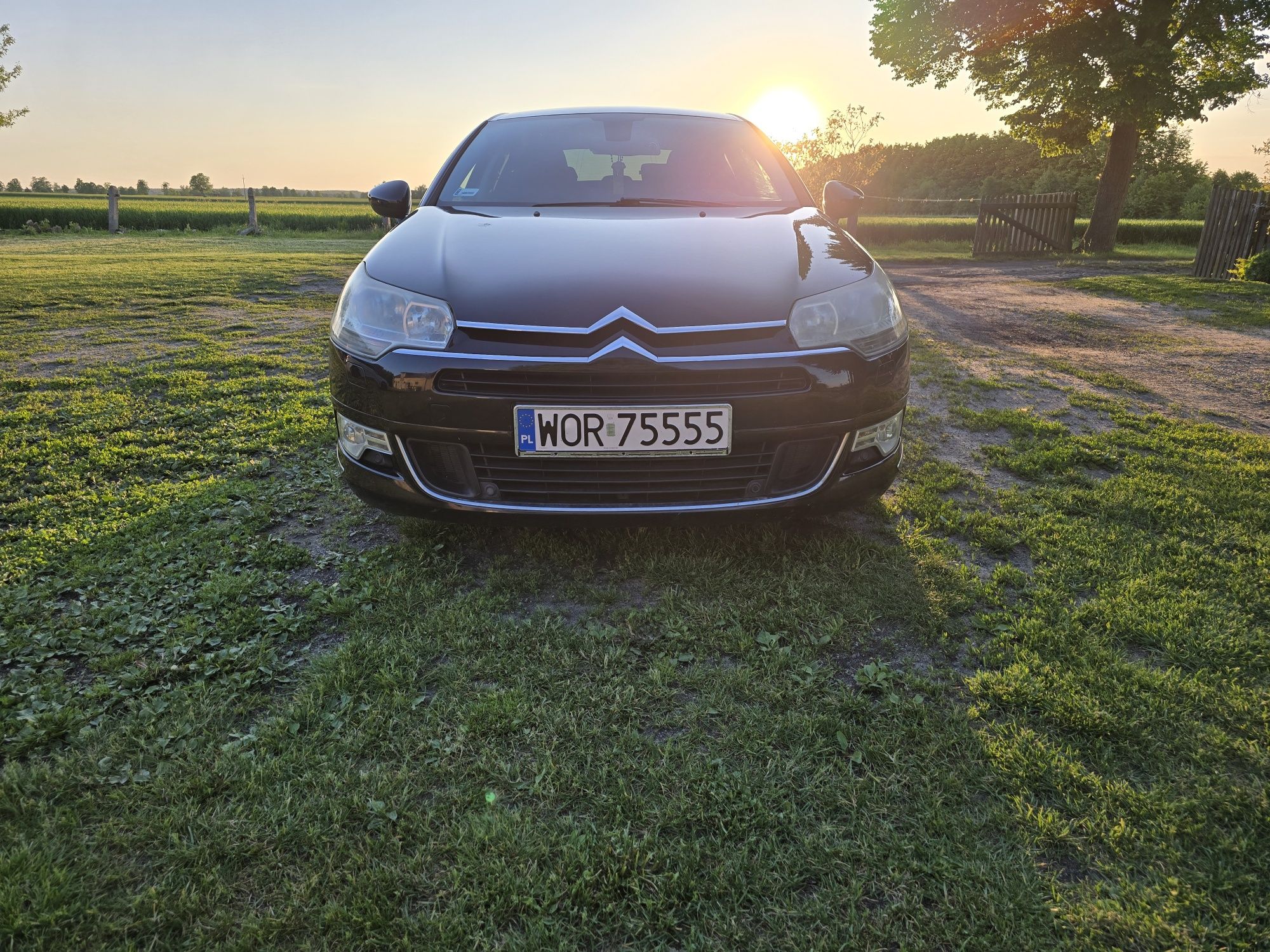 Citroen C5 2.0 HDI 136 KM | 2008 | Hydropneumatyka | Automat | Android