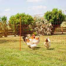 Siatka ogrodzeniowa elektryczna dla drobiu owiec , 50m-108 cm 2 szpice