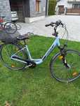 Rower damka 28 cali.