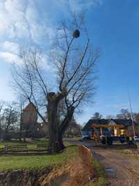 Pielęgnacja ogrodów,koszenie trawy,wycinka drzew