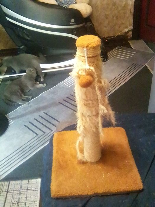 Когтеточка для котов