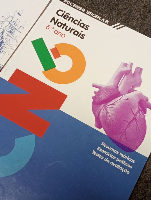 Ciências naturais e inglês  - sucesso escolar 6⁰ ano