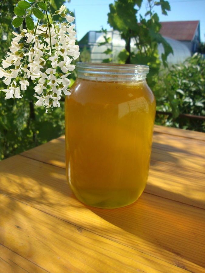 крем - мёд натуральный со своей пасеки  акация майский цветочный