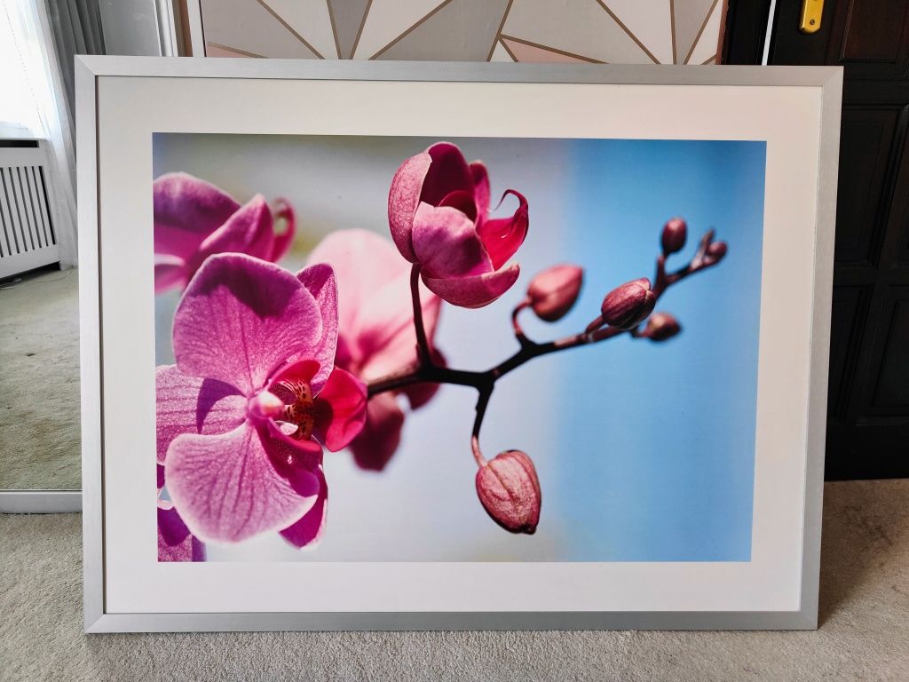 Obraz do salonu Ikea Myrarp storczyk orchidea