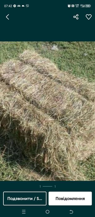 Продам сіно тюки