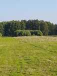 Sprzedam działki w Bogusławicach./k Oleśnicy